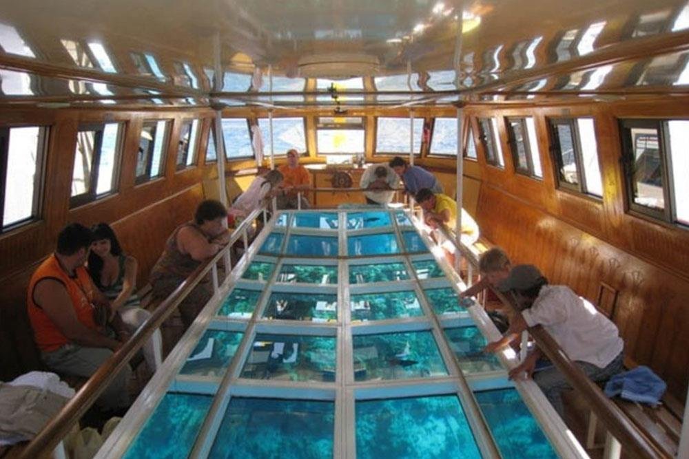 Glass-Bottom Boat