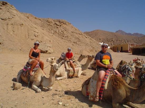 Bedouin tea stop in the desert