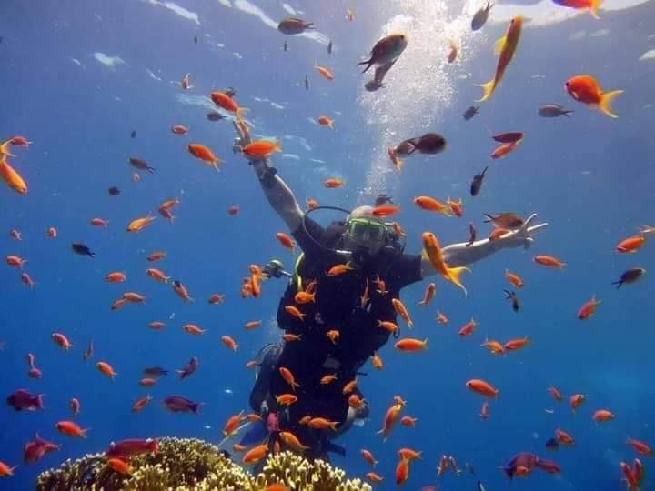 Boat trip on turquoise Red Sea waters